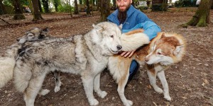 Aux Andelys, un musher et ses chiens de traîneau au secours des enfants fragiles