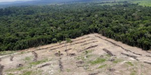 Brésil : la déforestation atteint un nouveau record en Amazonie