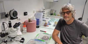 Eric Darrouzet, le chercheur qui veut croquer le frelon asiatique