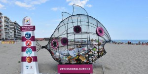 Des «poissons» mangeurs de plastique sur les plages de l’Hérault