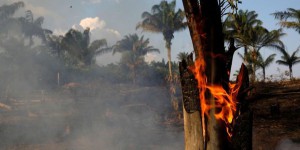 Brésil : les incendies «empoisonnent l’air» en Amazonie