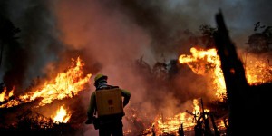 Incendies en Amazonie : l’été le plus catastrophique depuis 2010