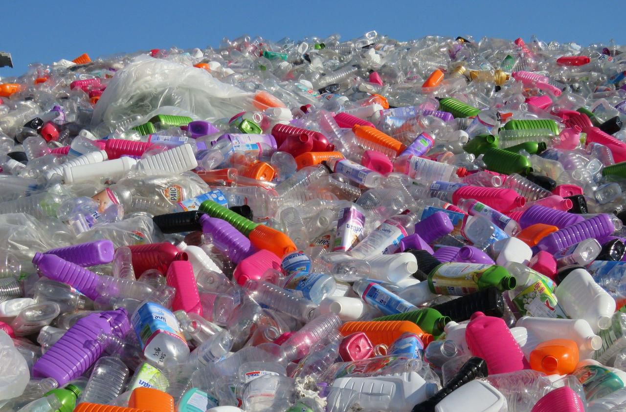 Les bouteilles en plastique, un fléau planétaire