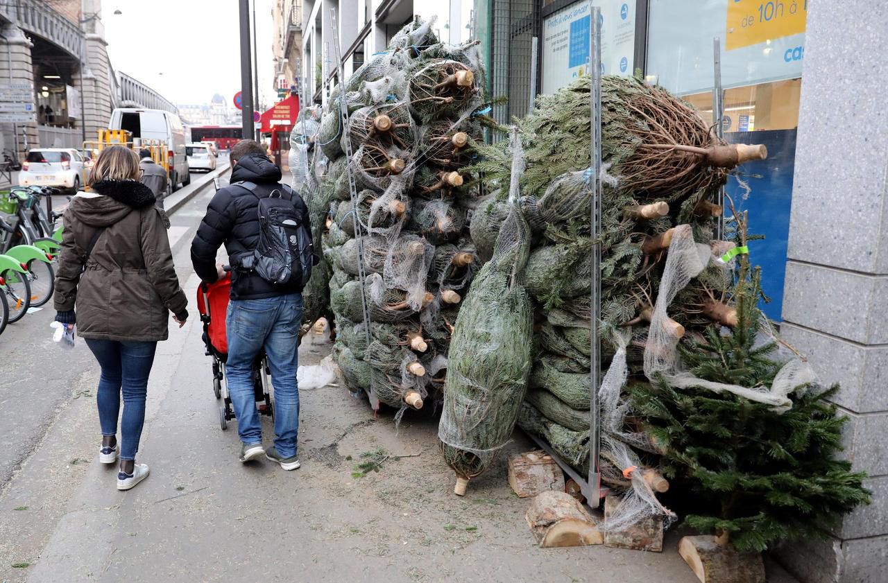 Polémique : les sapins de Noël sont-ils vraiment anti-écolo ?