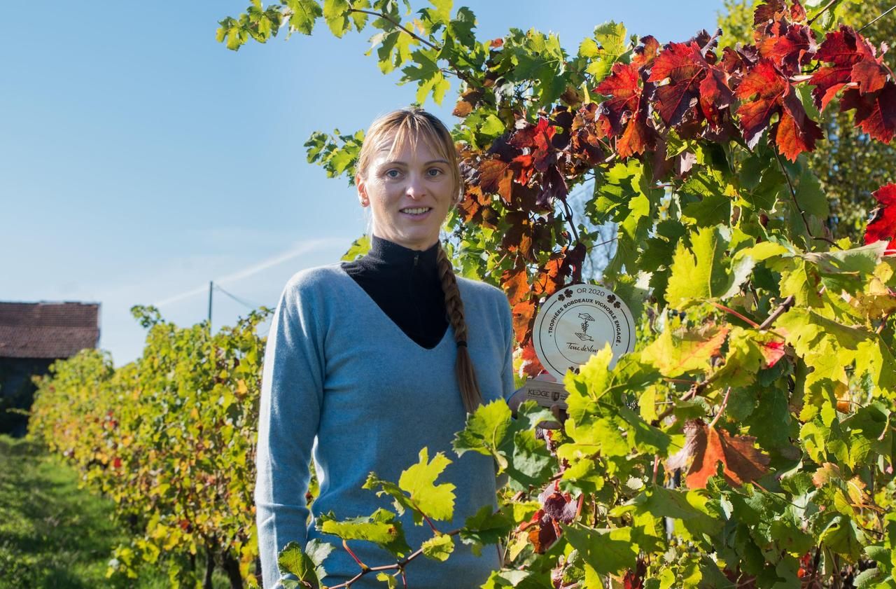 Dans le Bordelais, le pari d’une vigne sans pesticides