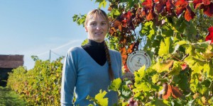 Dans le Bordelais, le pari d’une vigne sans pesticides