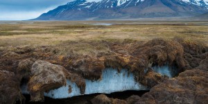 Le dégel du permafrost, «une bombe à retardement virale et bactérienne»