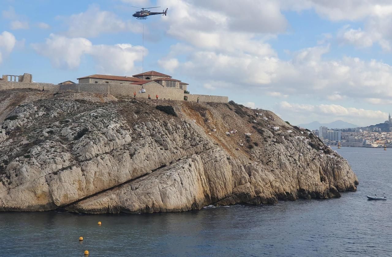 A Marseille, un hélicoptère pour évacuer les plantes invasives des calanques