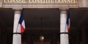 Retour des néonicotinoïdes : des élus saisissent le Conseil constitutionnel
