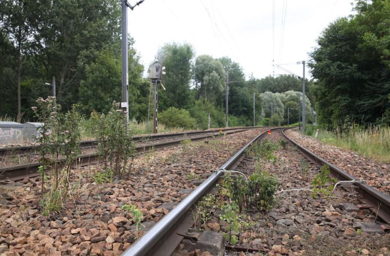 La SNCF sur la voie pour bannir le glyphosate