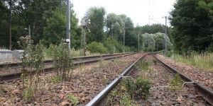 La SNCF sur la voie pour bannir le glyphosate