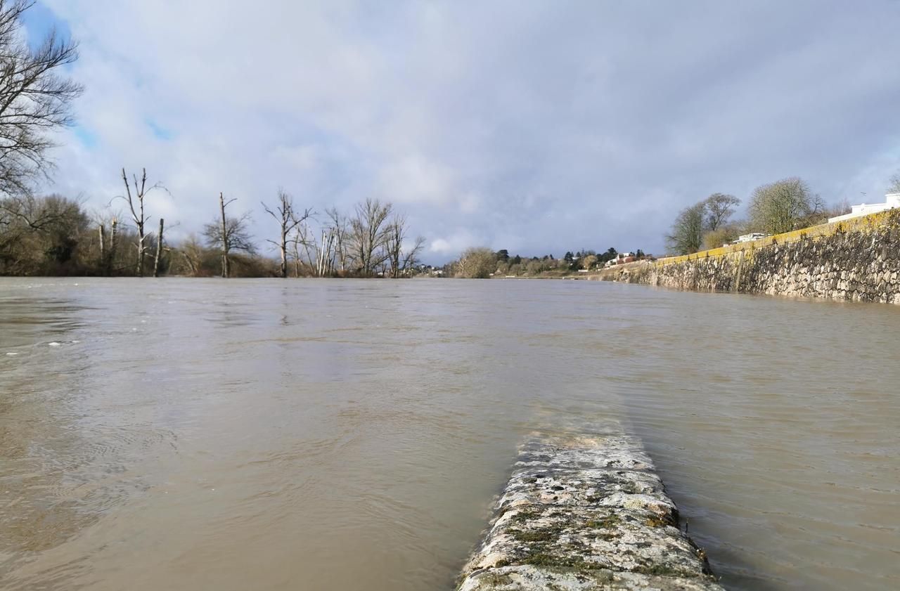 La Loire en crue : rien d'alarmant... pour l'instant
