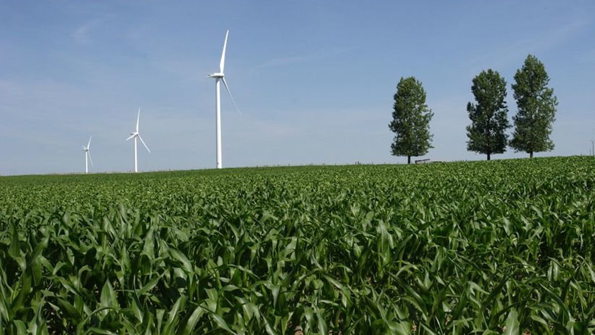 Les éoliennes, une «supercherie», selon Stéphane Bern ? 5 minutes pour comprendre la polémique 