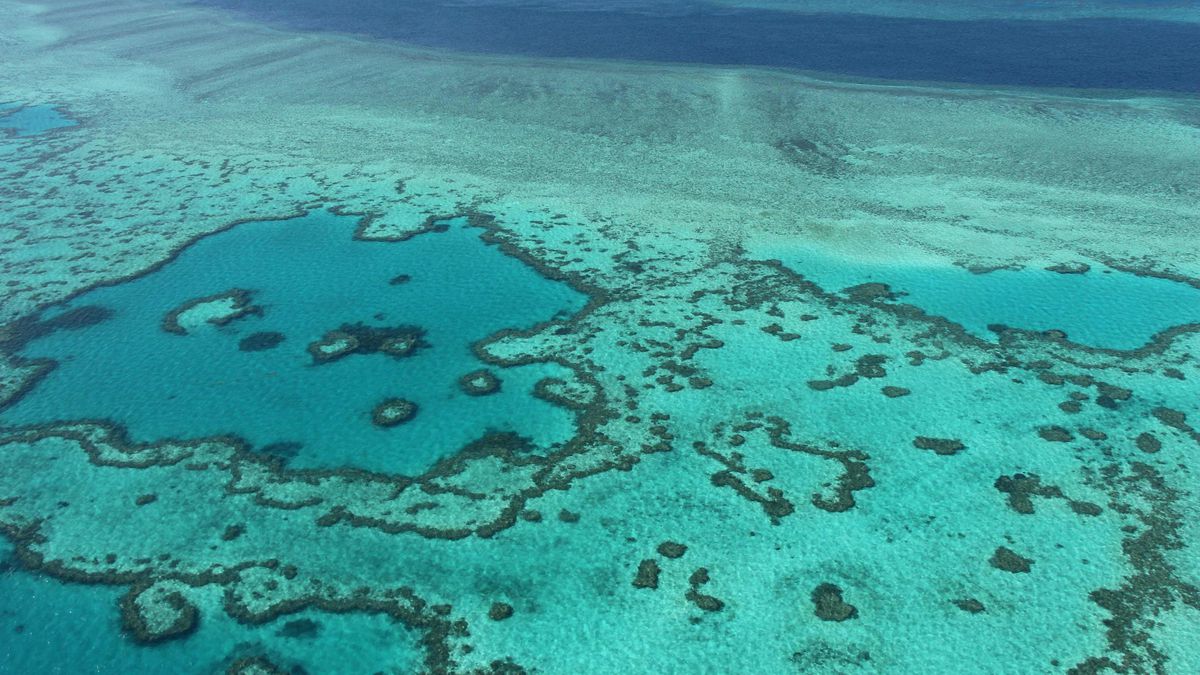 L’Unesco place la Grande Barrière de corail «en danger», un bras de fer se profile avec l’Australie