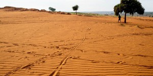 Madagascar, premier pays à subir la famine à cause du réchauffement climatique