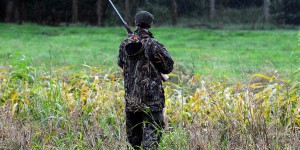« Peu de petits à chaque portée » : One Voice s’oppose à la chasse au blaireau dans le Loiret