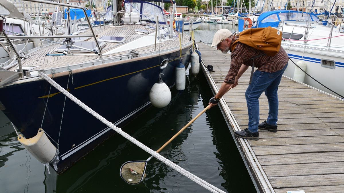 «Epuise ton déchet» : l’association Echo Mer propose aux touristes de s’engager pendant leurs vacances à La Rochelle 