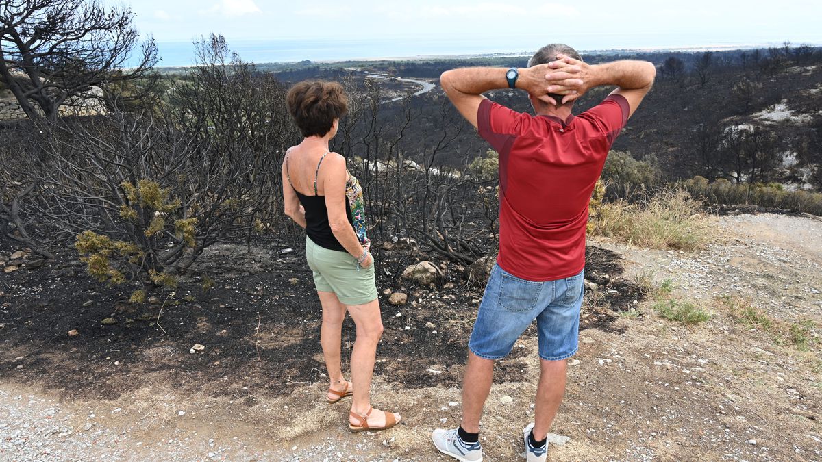 «Cette forêt, c’était la nôtre» : le massif de la Clape, dans l’Aude, première victime des incendies de l’été