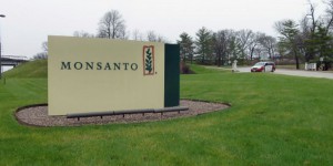 Glyphosate : une amende de 400 000 euros pour Monsanto qui avait constitué un fichier de personnalités