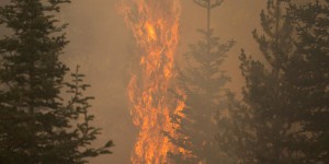 Incendies dans l’Ouest américain : les évacuations se poursuivent, les feux de forêts s’intensifient