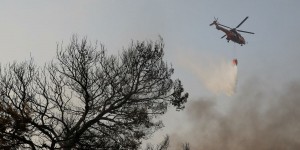Algérie : une majorité d’incendies maîtrisés par les pompiers, quelques feux toujours en cours  