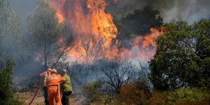«Le feu avançait à une vitesse hallucinante» : le Var face au plus gros incendie de l’été 