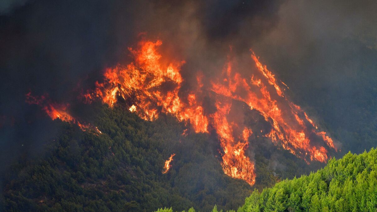Grèce : des villages entourés par les flammes sur l’île d’Eubée, un incendie près du site d’Olympie