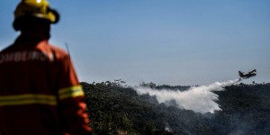 Un important feu de forêt maîtrisé au Portugal
