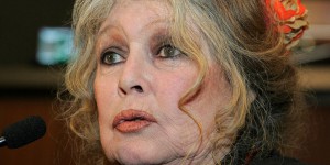 Incendie dans le Var : Brigitte Bardot demande au préfet une «année blanche de la chasse»