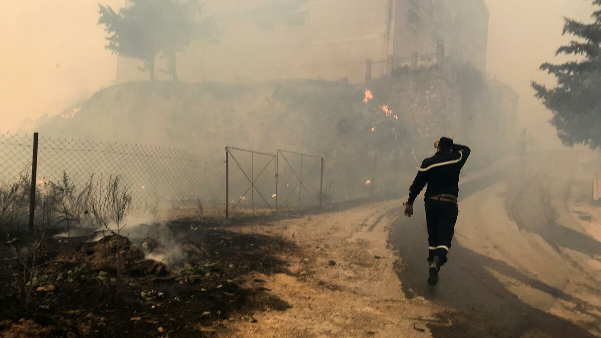 Incendies en Algérie : 5 minutes pour comprendre le bilan meurtrier en Kabylie