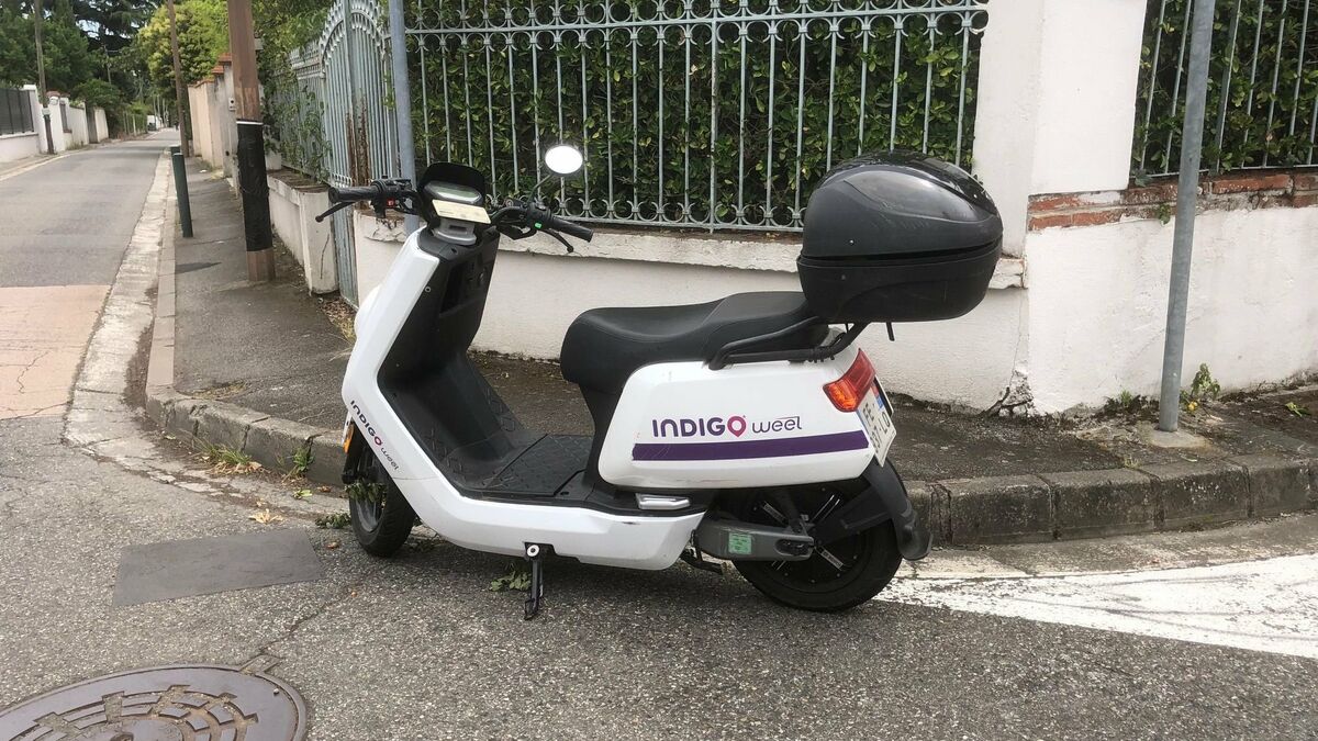 Scooters électriques : pas de stationnement payant à Toulouse mais plus de concurrence