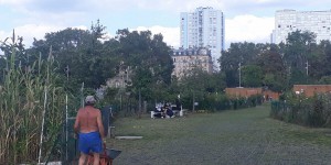Île-de-France : plus de la moitié des communes du cœur de métropole manque d’espaces verts