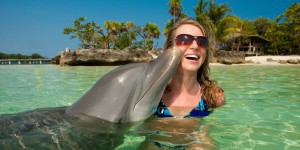 «On a l’impression qu’ils sourient tout le temps» : pourquoi on aime tant les dauphins