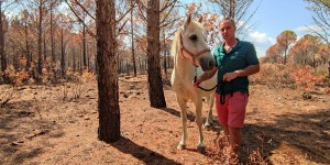 Var : un mois après l’incendie dévastateur, les animaux et la nature reprennent du poil de la bête