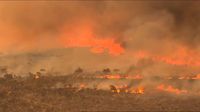 Australie: une vague de chaleur provoque des feux de brousse