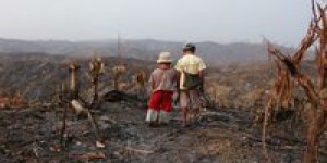La Birmanie victime de la déforestation