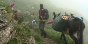 Écotourisme: le concept se développe dans les Pyrénées