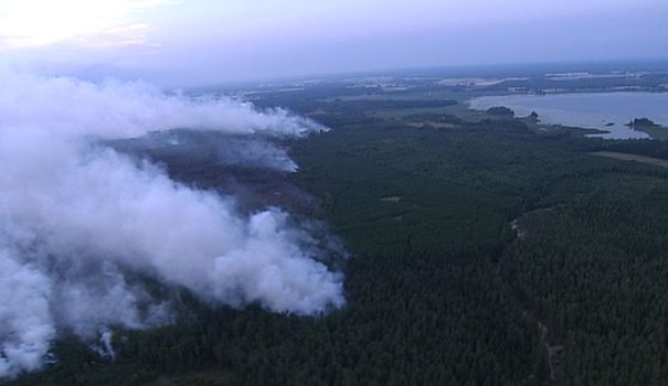 La Suède est victime des pires feux de forêt de son histoire