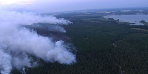 La Suède est victime des pires feux de forêt de son histoire