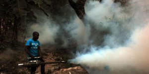 Paludisme, dengue et gastro: les effets du changement climatique sur notre santé