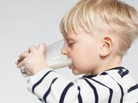 Le lait entier préviendrait surpoids et carences en vitamine D chez l'enfant