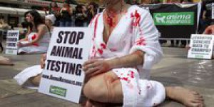 'Dix raisons de mettre fin aux tests sur les animaux' en laboratoire