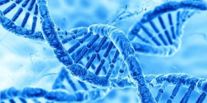 Modification génétique: une nouvelle technique soignerait les maladies incurables