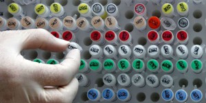 Bioéthique: faut-il s'inquiéter des modifications génétiques sur les embryons?