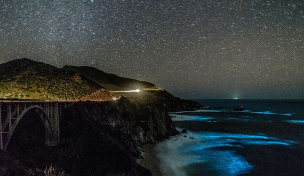 EN IMAGES. Des surprenantes vagues lumineuses ont éclairé la côte californienne