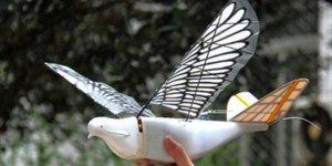 La colombe de la paix transformée en drone-espion