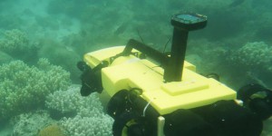 Un drone sous-marin pour sauver le corail
