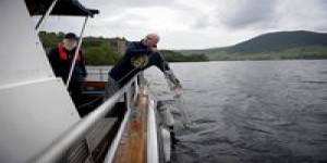 Et si le monstre du Loch Ness était en fait une anguille géante ?