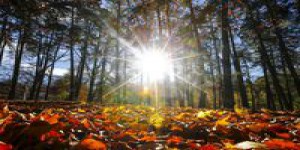 Pourquoi le premier jour de l'automne tombe ce lundi 23 septembre