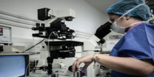 PMA: 'En France, certaines femmes subissent des transferts d'embryons inutilement'